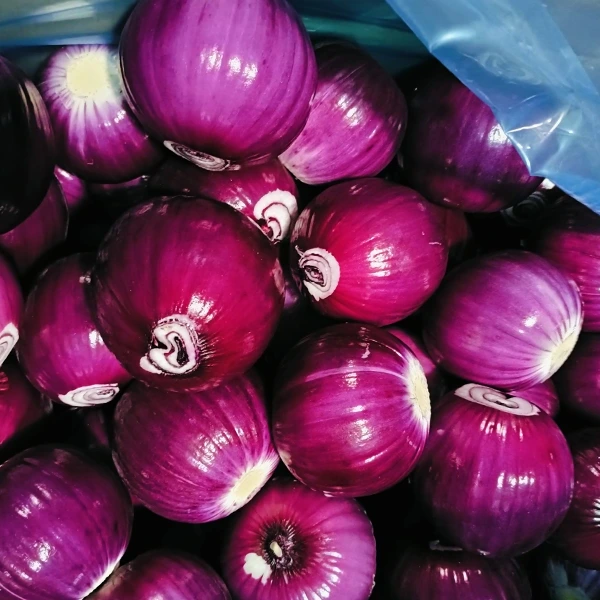 Huaang Food Processing zyskuje udział w rynku dzięki stabilnej jakości