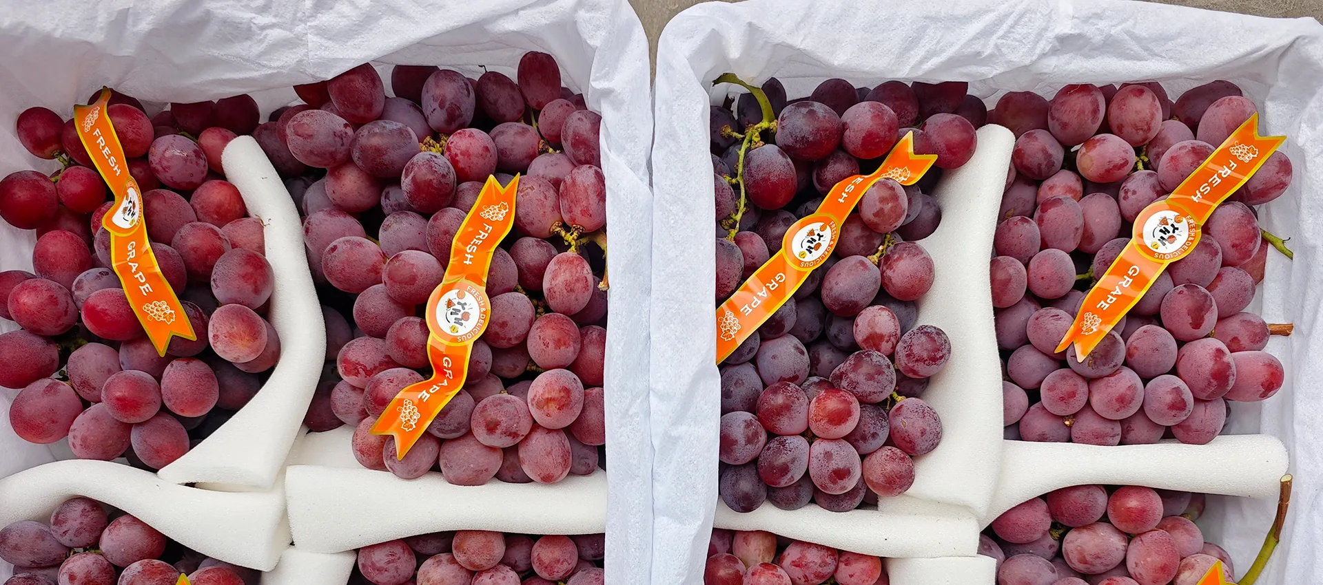 Dostawca świeżych winogron premium w Chinach