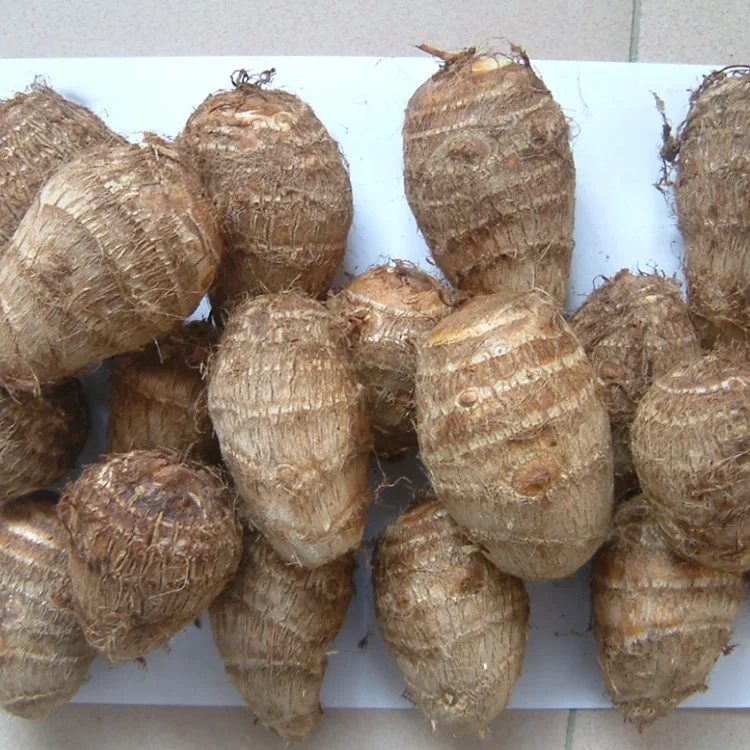 Pole Świeże Taro