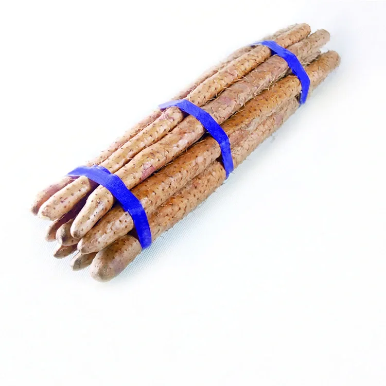 Świeży Chiński Yam