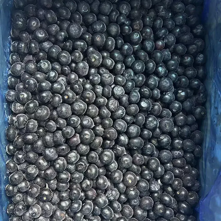 Mrożone Jagody Borówkowe Premium IQF
