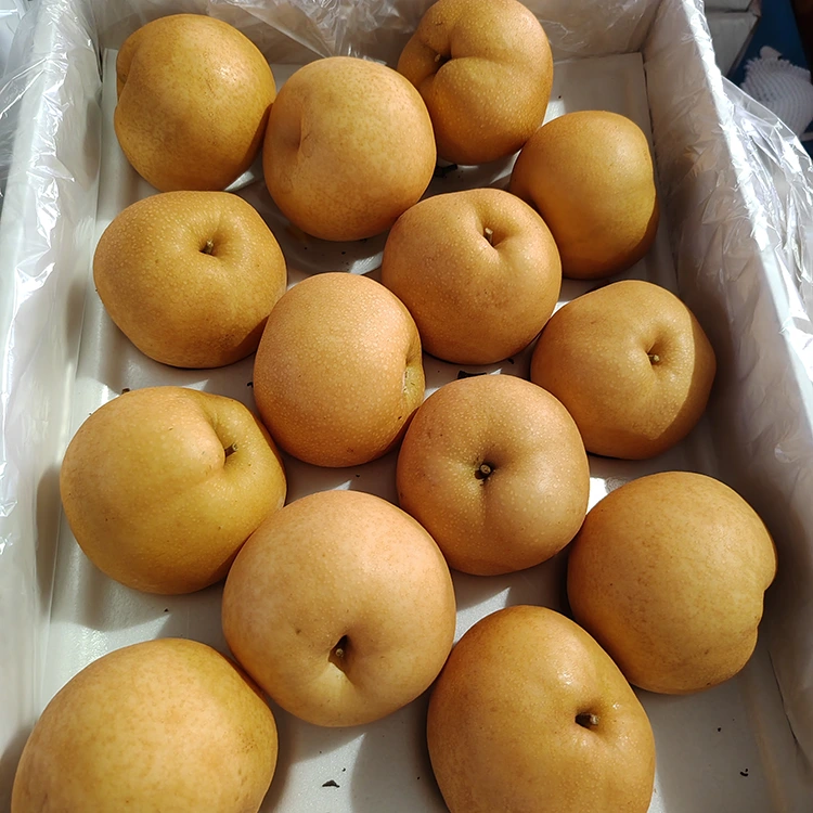 Premium Shingo Pears