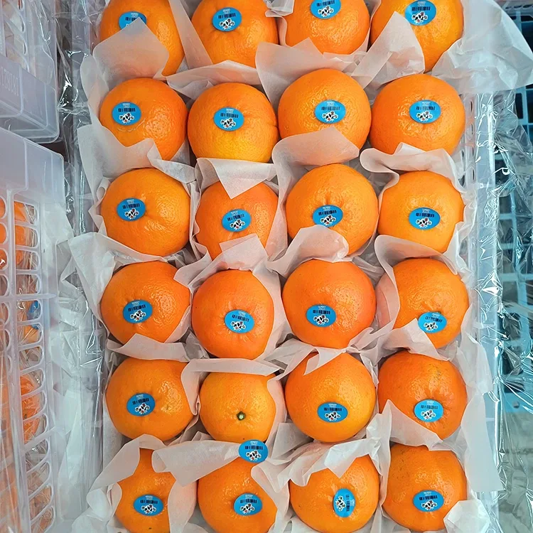 Premium Świeże, słodkie mandarynki Wogan